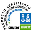 DNV-logo