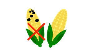 no aflatossine / no aflatoxins