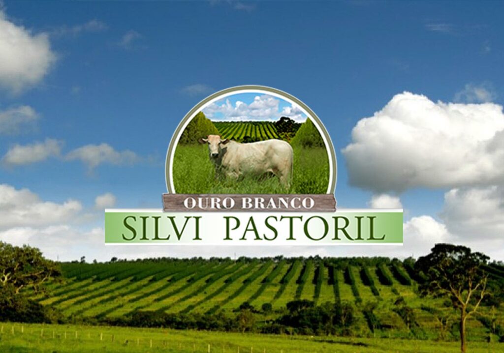 Silvi Pastoril Ouro Branco, Brasile